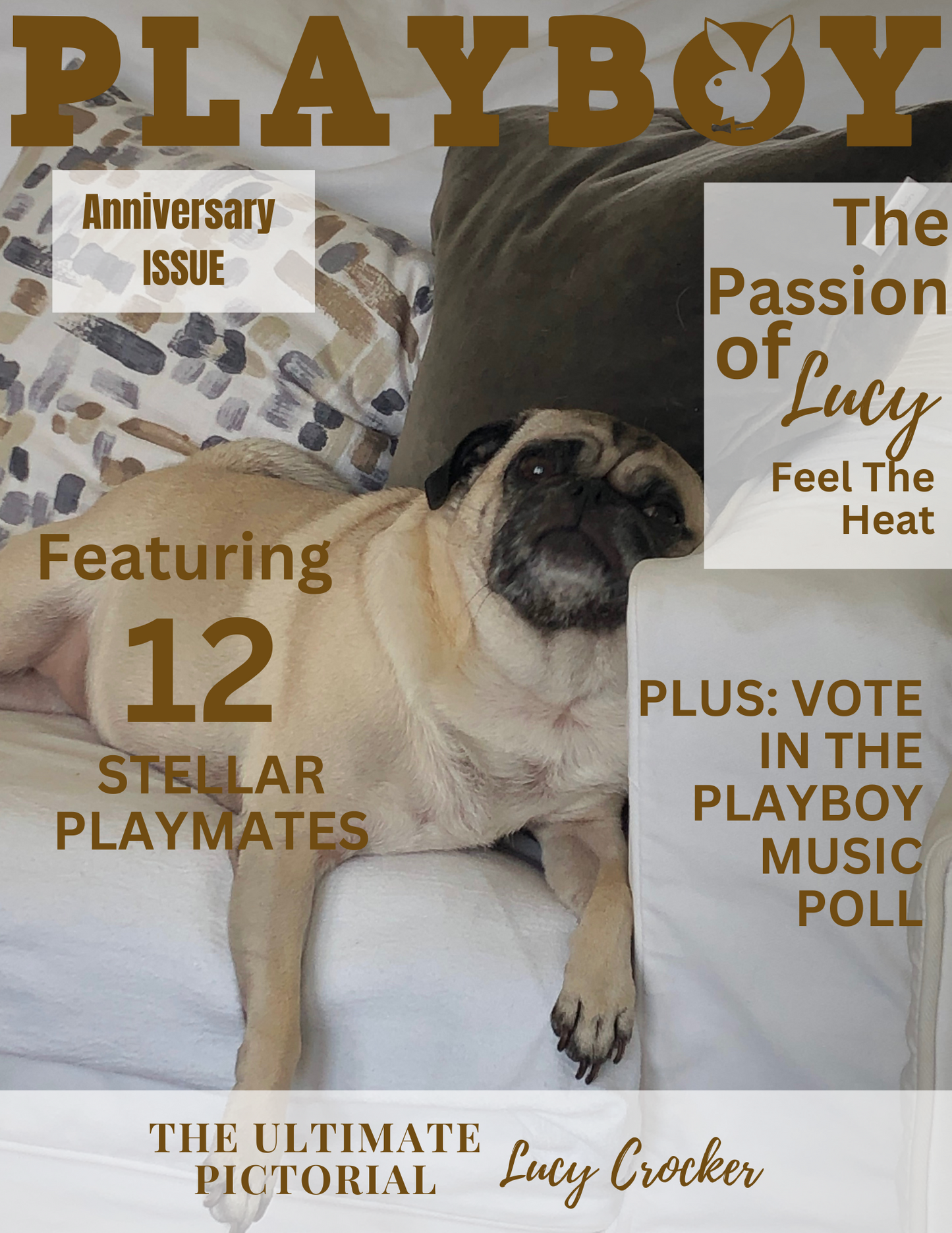 TIKTOK Grand Opening Promo: Turn Your Pet into a Star with Canvas Critters! $15 (Copy)