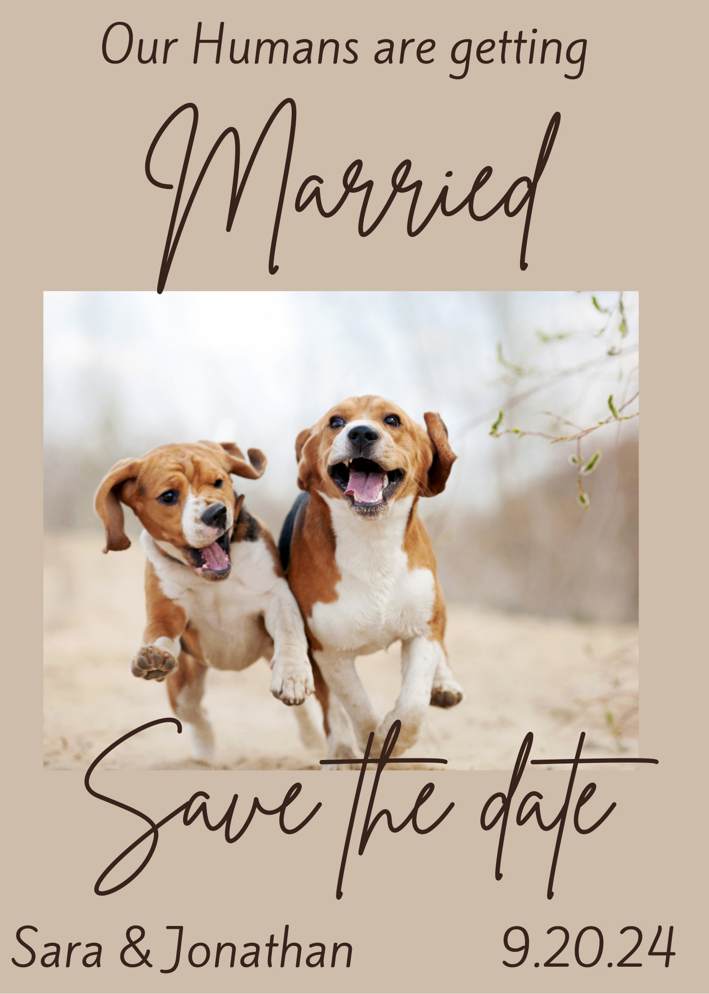 Wedding Whiskers Samples