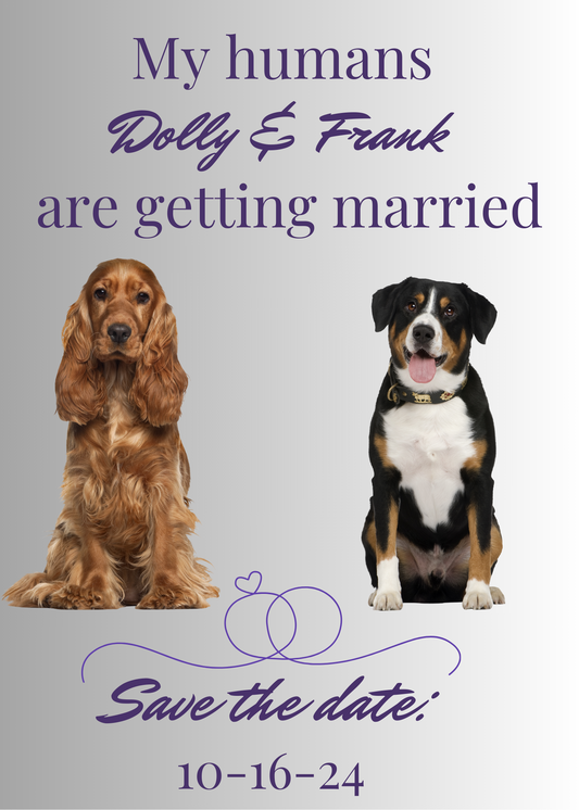 Wedding Whiskers Samples