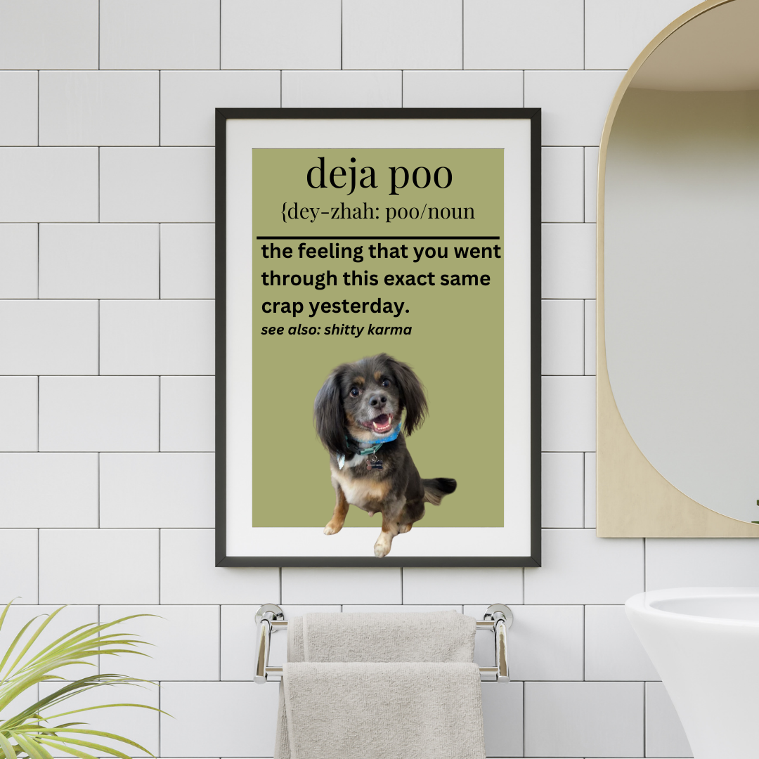 Deja Poo
