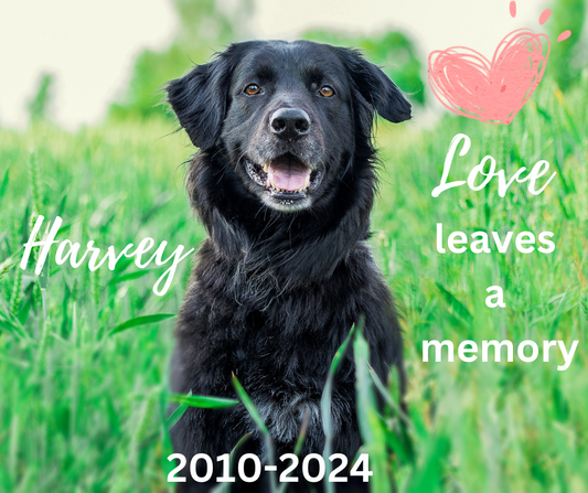 In loving memory