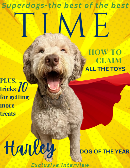 TIKTOK Grand Opening Promo: Turn Your Pet into a Star with Canvas Critters! $15